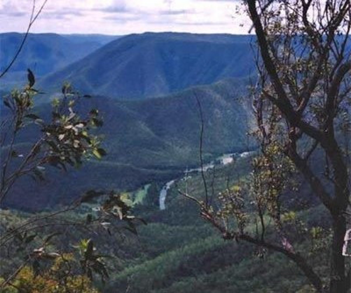 Bushwalking